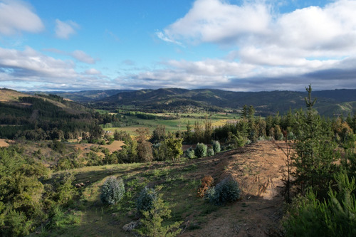 Imagen 9 de 14 de Oferta Hermoso Terreno En Lago Vichuquén - Vista Al Lago