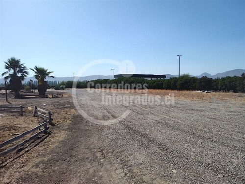 Agrícola En Venta En Colina