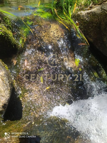 Imagen 18 de 19 de Se Vende Muy Lindo Campo Con Cañada !!