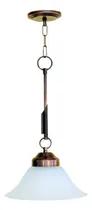 Comprar Lamparas Colgantes  De Techo X 1.  Apto Lampara Led. Techo.