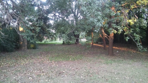 Imagen 6 de 10 de Terreno Para Housing Y Locales!! 20 Unidades!