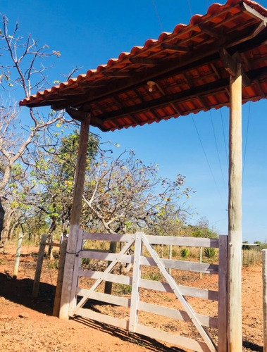 Fazenda Lagoa Santa 20hectares - 3619