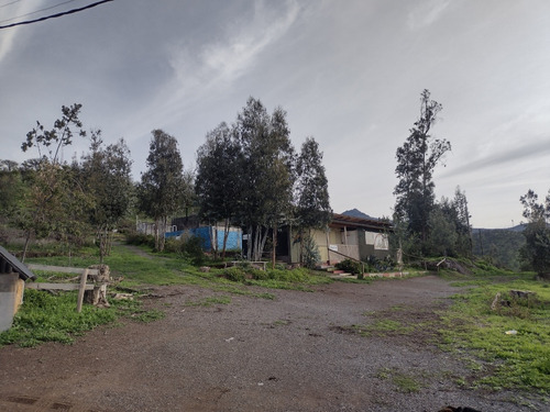 Terreno De 4 Ha Con Luz ,despejado, Excelente Ubicaci