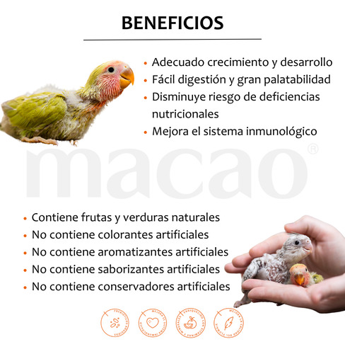 Alimento Macao Loro Amazona Cacatúa, Papilla 1k+ Croqueta 1k
