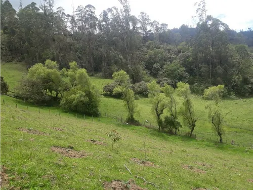 Vendo O Permuto Finca En Junin Cundinamarca