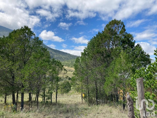 Venta Terreno 0 Ambiente Los Lirios