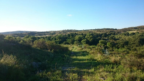 Oportunidad Venta Terreno - Club De Campo Los Tres Arroyos, La Falda, Córdoba