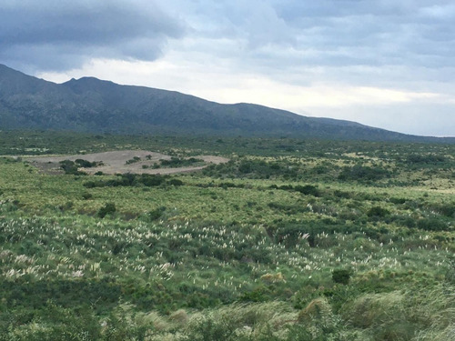 Terreno En Venta En El Morro San Luis 5 Hectáreas