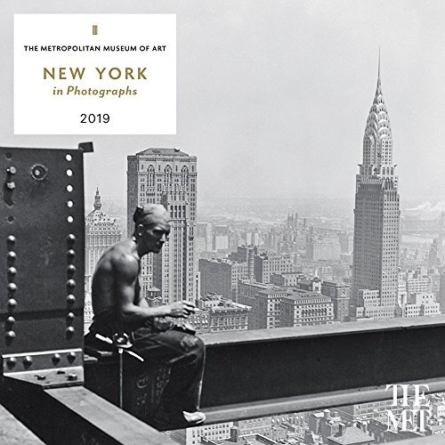 New York In Photographs 2019 Wall Calendar