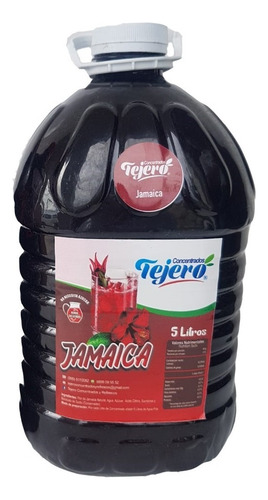 Jarabe Concentrado Tejero Galón De 5 Litros 1 Pieza Sabores