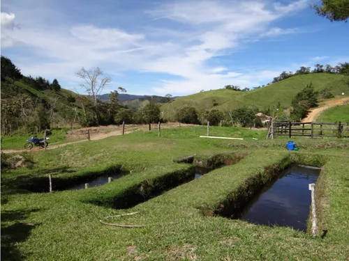 Finca En Venta La Unión Via Abejorral Antioquia. 83 Hectareas