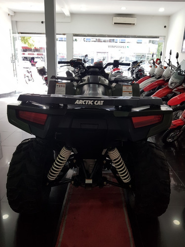Imagen 4 de 15 de Arctic Cat Xr 500 Efi Usado Seleccionado