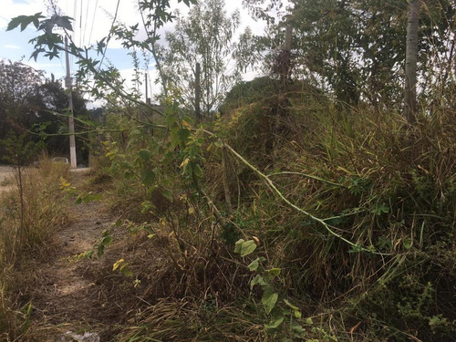 Imagem 5 de 11 de Lote Para Venda Em Ribeirão Das Neves, Rosaneves - L25_1-1358691