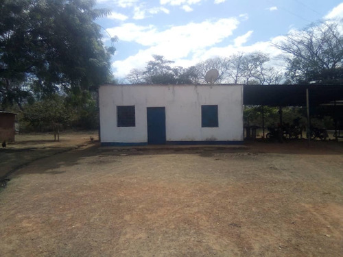 Imagen 14 de 14 de Finca Con 1.100 Hectáreas De Terreno Propio Tu Oportunidad