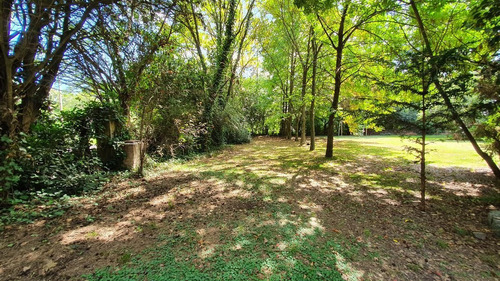 Imagen 17 de 30 de Casa Quinta 6 Amb Quincho Parrilla Pileta 5 Lotes Arbolados En Alejandro Petion Cañuelas