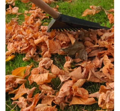 Imagen 3 de 4 de Rastrillo Barre Hojas Profesional Jardinero
