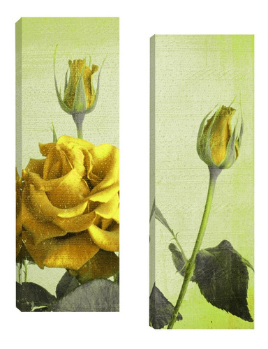 Quadros Para Sala Quarto Corredor Floral Par 20x60 924f