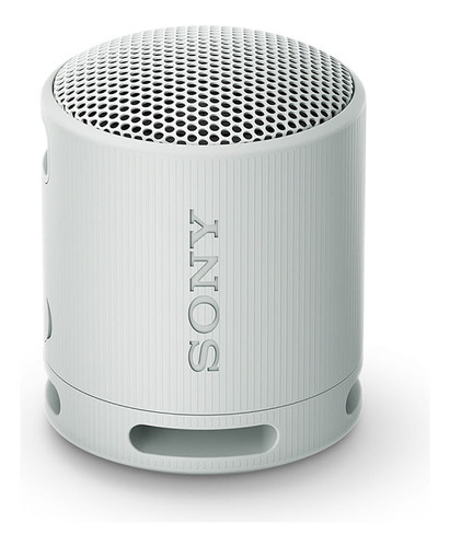 Sony Parlante Inalámbrico Portátil Srs-xb100
