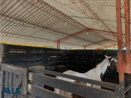 Finca Para Caballistas(mls#249601)