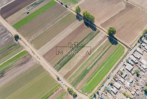 Agrícola En Venta En Lampa
