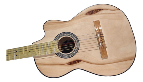 Guitarra Acustica Con Funda Nivel Estudiante Paracho 