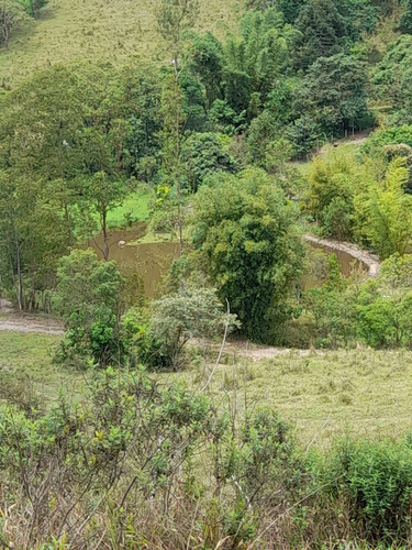 Imagem 12 de 20 de B46- Opa Chácara Boa A Venda 1000m² Venha Conhecer!!