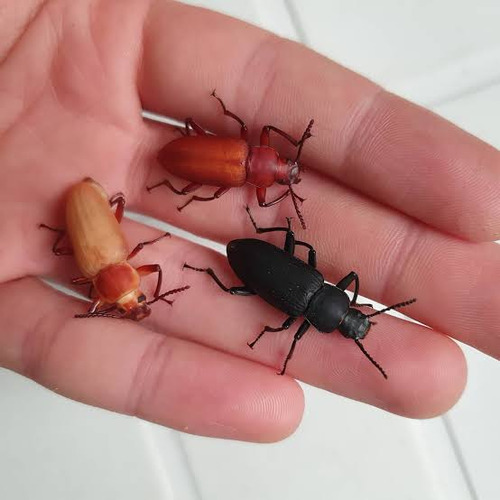 Alimento Vivo - Tenebra Gigante 350 Unidades + 15 Un.