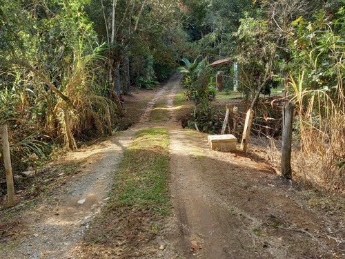 Imagem 3 de 18 de Sitio 21.000 M2 Em Cidade Turistica J.04