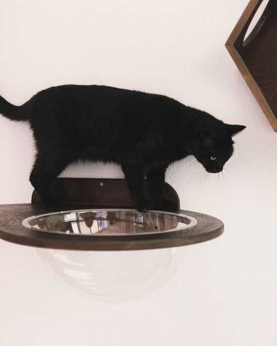 Repisa Gato, Cúpula Tranparente Y Repisa Pino, Súper Oferta