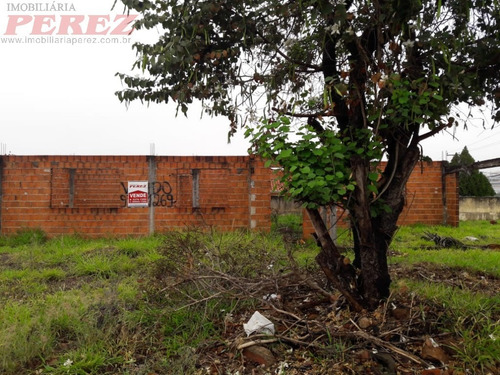 Imagem 3 de 7 de Terrenos Para Venda - 13650.5986