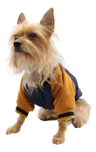 Chamarra Universitaria Perro Universidad Talla 5 Pet Pals