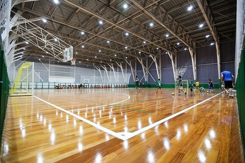 Título Familiar Clube Palmeiras