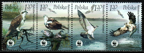 Fauna - Wwf - Aguila Pescadora - Polonia 2003 - Serie Mint