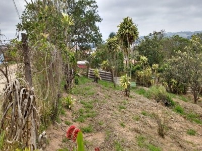 Imagem 15 de 15 de Ref.: 881 - Chacara Em São Roque Para Venda - V881