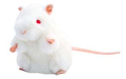 Ratón Blanco De Laboratorio Giantmicrobes