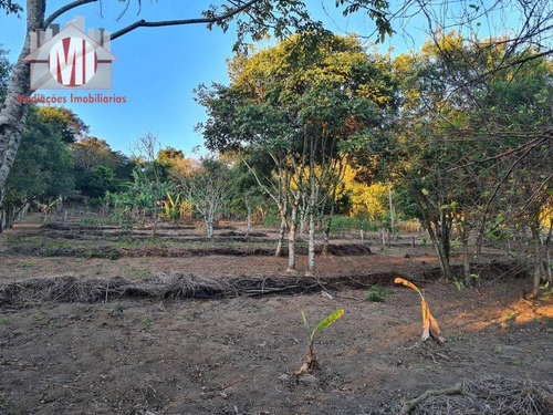 Imagem 29 de 30 de Ótima Chácara Com 4 Dormitórios, Edícula, Salão De Jogos, Pomar, Horta, Bem Localizada, À Venda, 5000 M² Por R$ 630.000 - Zona Rural - Pinhalzinho/sp - Ch0984