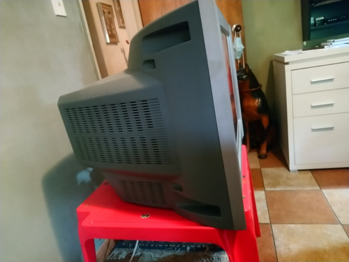 Tv Sony Trinitron De 21'' (Usado)