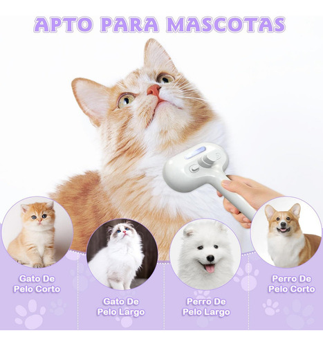 Z - Cepillo De Vapor Para Gatos/perros, Cepillo Para