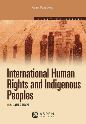 International Human Rights And Indigenous Peoples -     ...