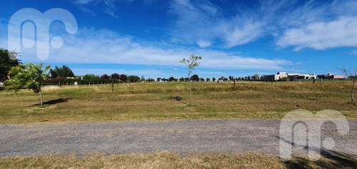 Imagen 6 de 8 de Terreno El Mirador