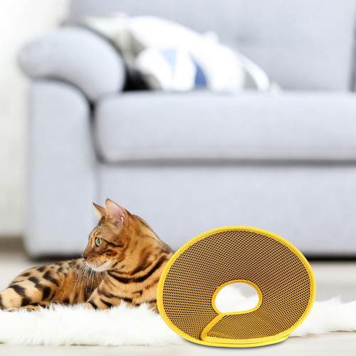 Cono De Gato Cono De Cuello De Gato Cono De Recuperación S