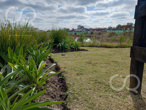 Imagen 19 de 22 de Terreno - San Ramiro