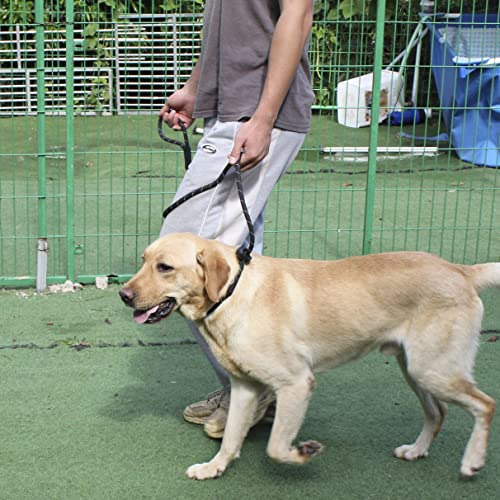 Hiado Slip Lead Dog Leash Reflective Con Stopper Loop Rope T