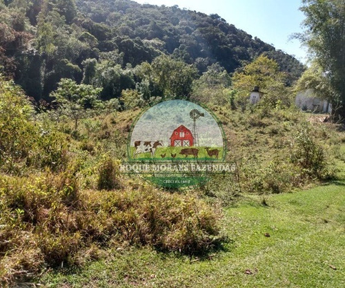 Imagem 16 de 29 de Fazenda Medindo 103 Alqueires Paulista No Vale Do Ribeira Sp Ref.: 0372