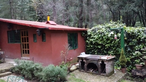 Imagen 8 de 19 de Departamento Tipo Cabaña En Medio Del Bosque Cerca De Santa Fe Pet Friendly Zona Ecolgica San Mateo Tlaltenango