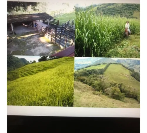 Fp-02 Finca ganadera En Caramanta Cerca A La Pintada