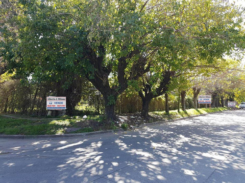 Imagen 3 de 3 de Fracción De 1356m2 - Ituzaingo Norte