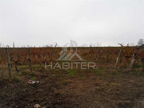 Sitio En Venta En Curicó