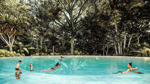 Terrenos En Venta 101 Cenotes En La Majestuosa Selva De Tulum.