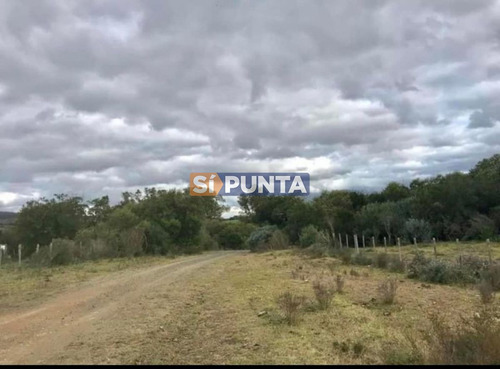 Imagen 5 de 5 de Campo En Venta Las Cañas, Maldonado